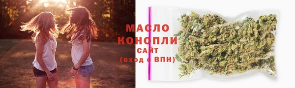 гашик Гусь-Хрустальный