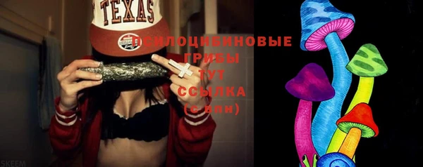 гашик Гусь-Хрустальный