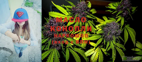 гашик Гусь-Хрустальный