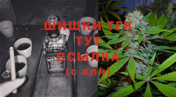 гашик Гусь-Хрустальный