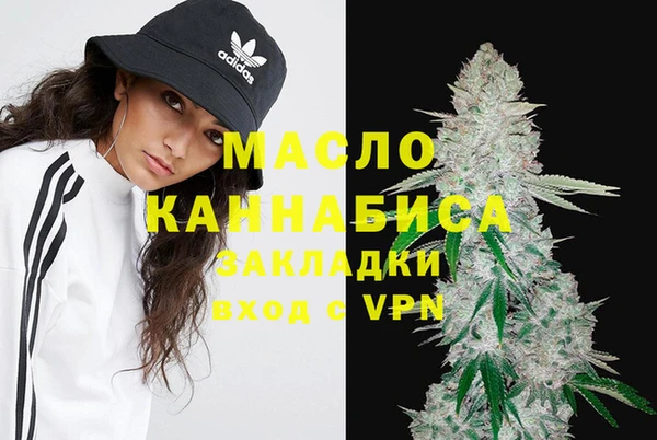 гашик Гусь-Хрустальный