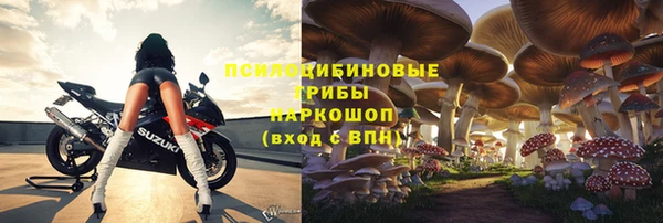 гашик Гусь-Хрустальный
