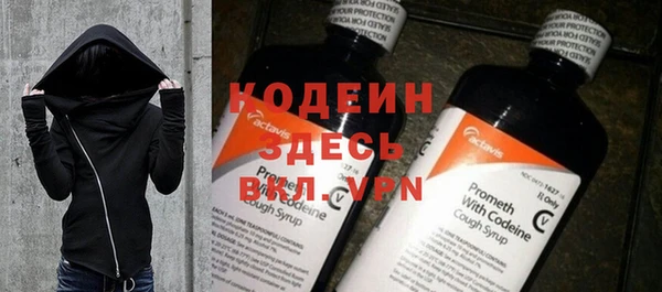 гашик Гусь-Хрустальный