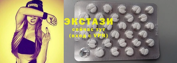 гашик Гусь-Хрустальный