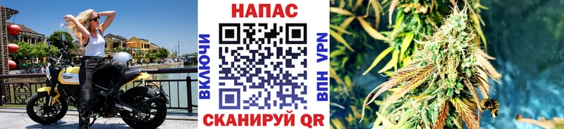 купить наркотики цена  OMG   Конопля SATIVA & INDICA  Миллерово 
